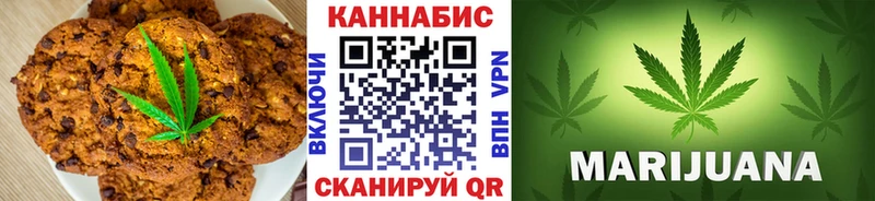 продажа наркотиков  Шуя  сайты даркнета как зайти  Еда ТГК конопля 