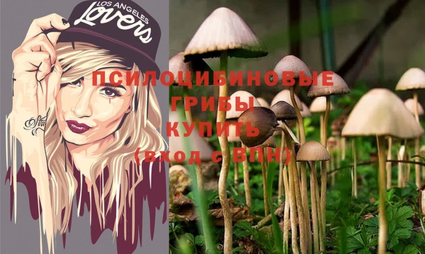 дживик Аркадак