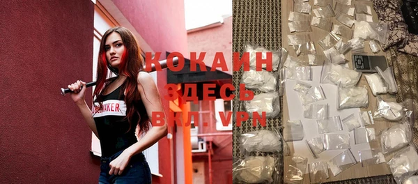 дживик Аркадак