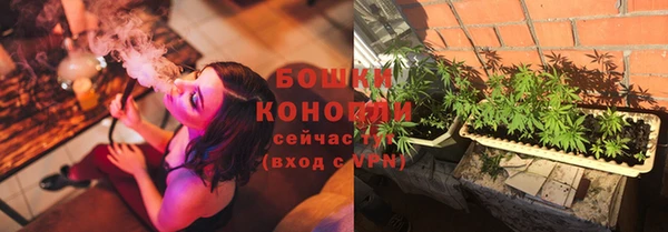 дживик Аркадак