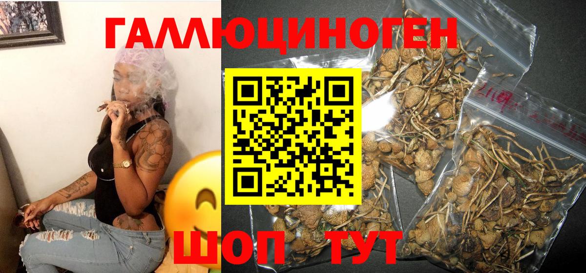 Псилоцибиновые грибы MAGIC MUSHROOMS  Вход с VPN  Шуя 